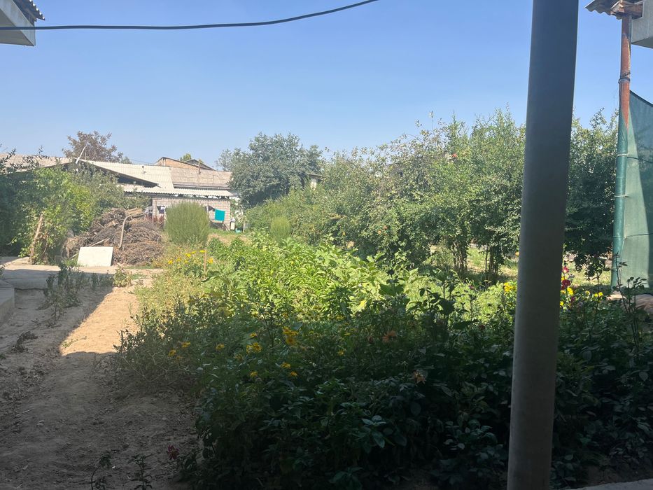 Срочно земля в Ташкенте, Яшнабад, Тузел Олмос, Аргин Махаля 11500 сот