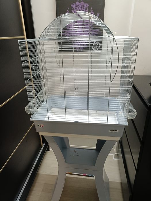 Colivie  pasari  IMAC