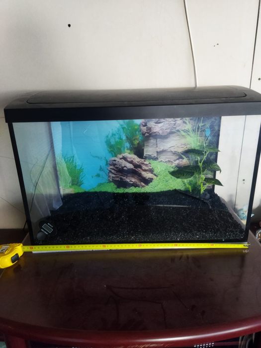 Vând acvariu + filtru+nisip
