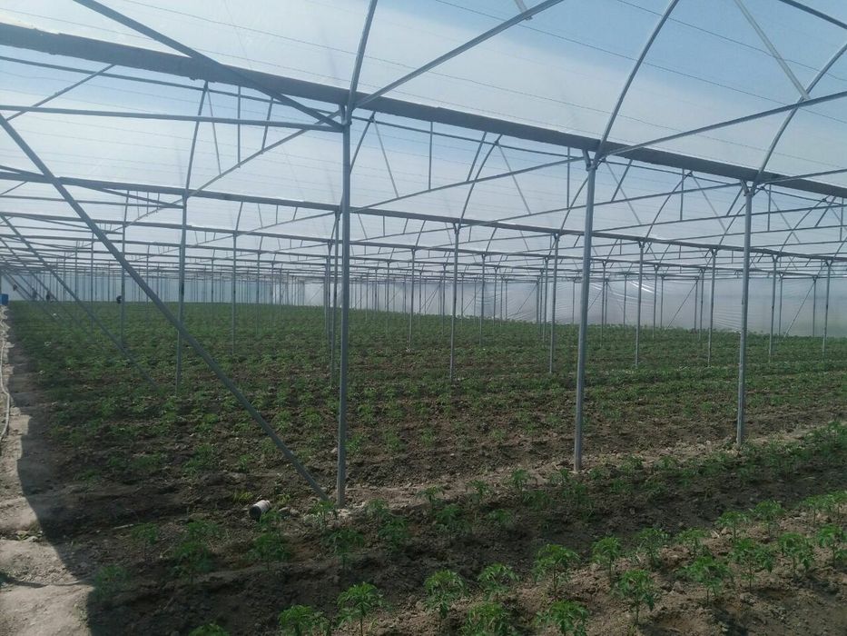 Том, навес, сўртак, бесетка ,иссиқхона қуриш хизмати.