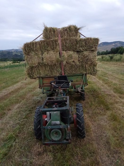 Vand motoagricola  Ferari
