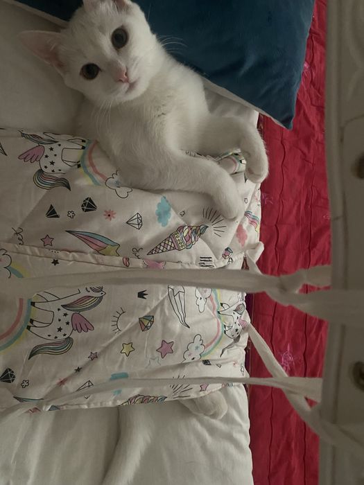 20 тысяч, если найдете