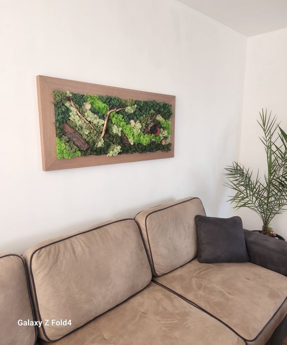 Картини със скандинавски мъх