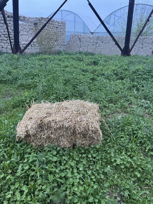 Самон пресс сотилади