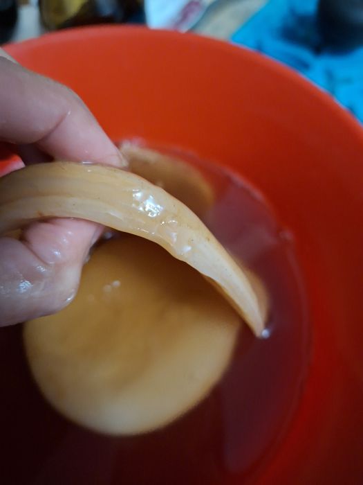 kombucha cu instrucțiuni și stater