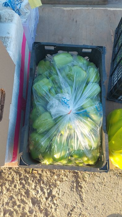 Обыш,Фрутти даставка жасаймыз