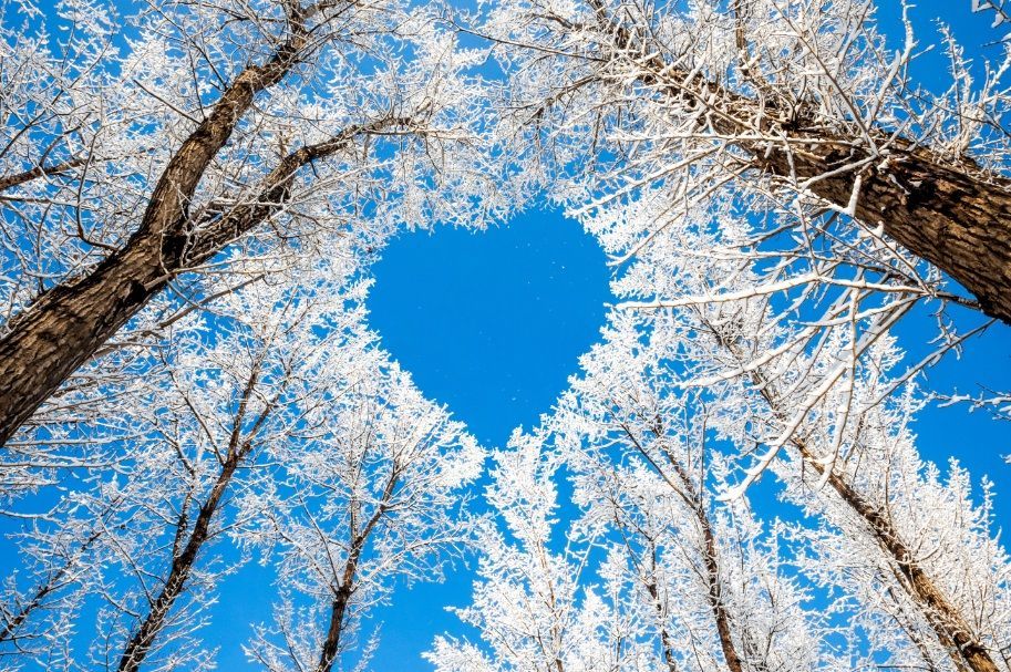 PEISAJE - pe fototapet din hartie! Dimensiuni la comanda!