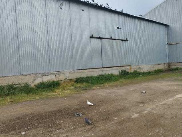 Промышленная база.