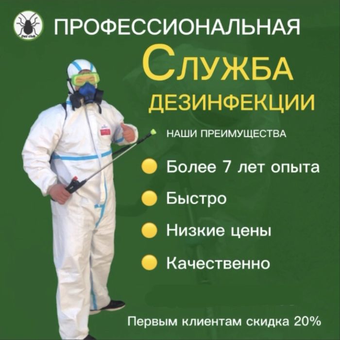 Дезинфекция, Уничтожение клопов тараканов муравьев блох крыс и мышей