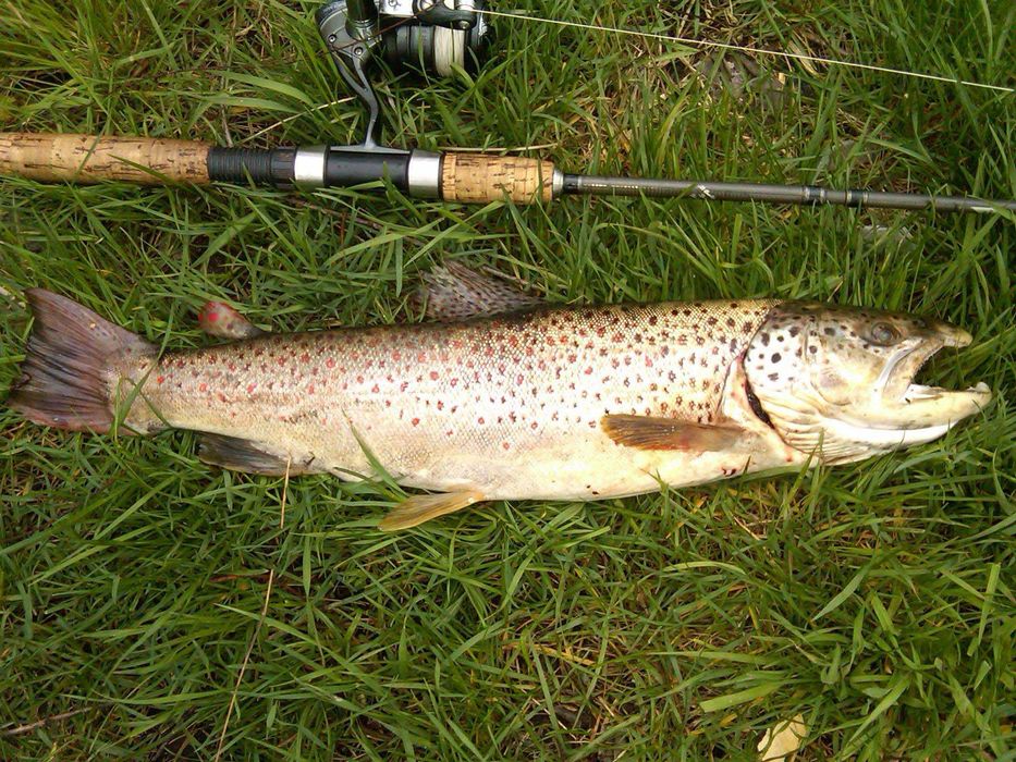 Продава се Къща в София, Фондови жилища - 160 кв.м за 1032 €/кв.м - Снимка #22