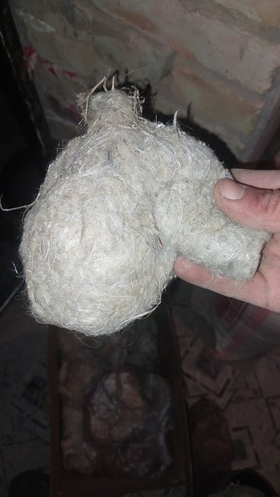 Қыз юбка астын жалайды