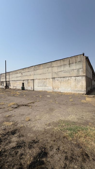 Ishlab chiqarish uchun 62 sotix joy, 500 tonna xolodilnigi bilan