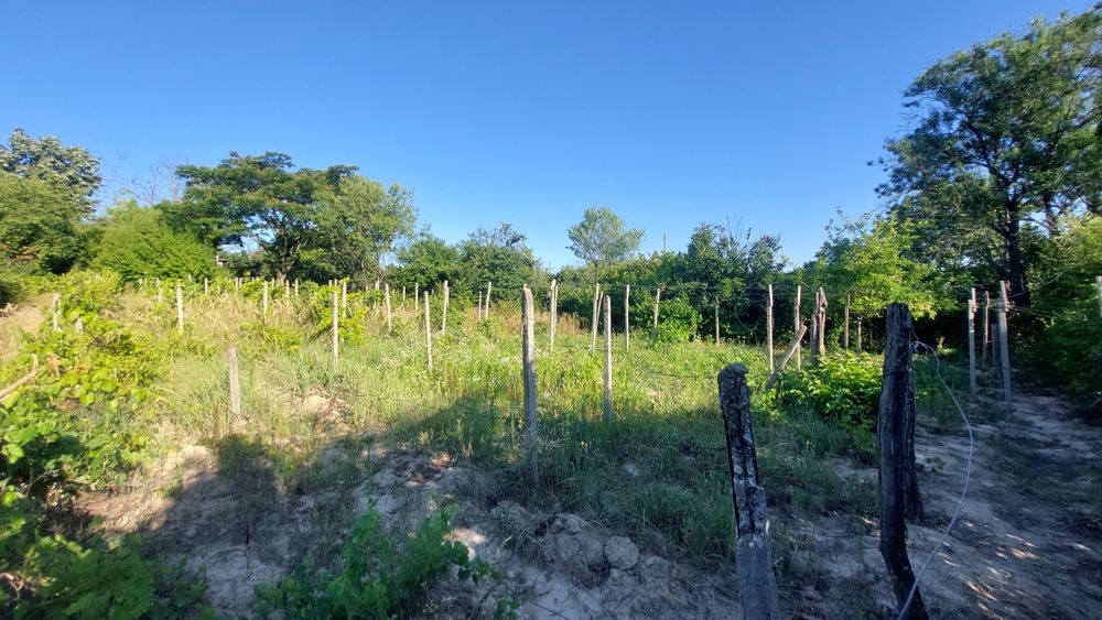 Продава се Парцел в Русе, Долапите - 875 кв.м за 5 €/кв.м - Снимка #6