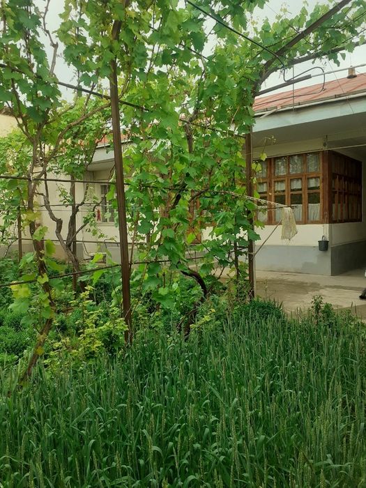 Uy sotiladi 8 sotix eski