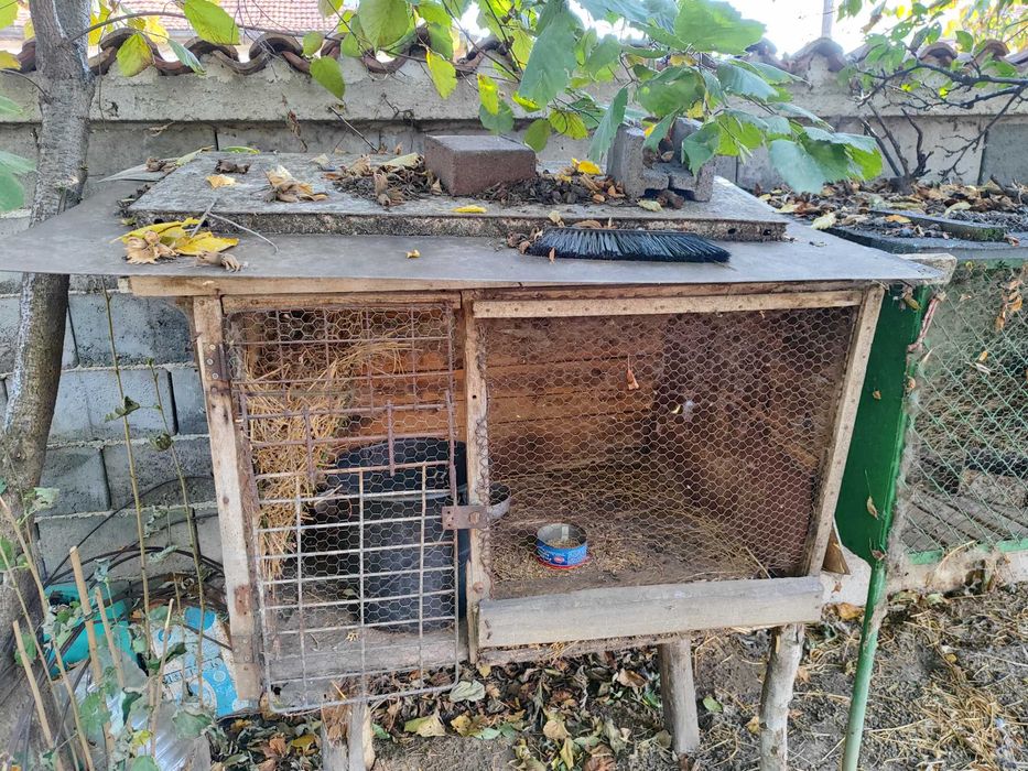 Клетки за зайци 5 бр. 90 лв. за брой.