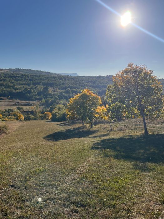 Livada 1 ha - zona de vis aproape de intravilan