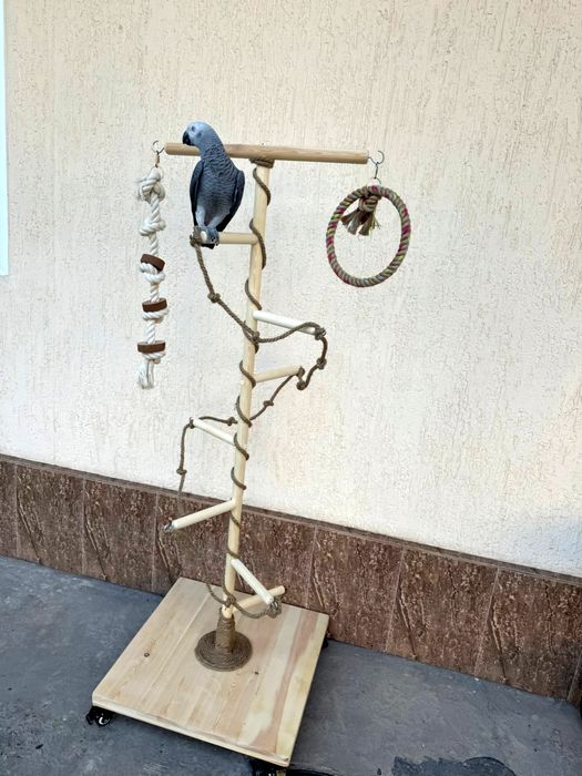 Стенд для попугаев