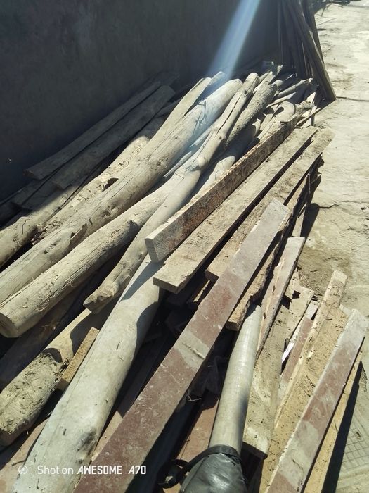 Продам страпилы болоры