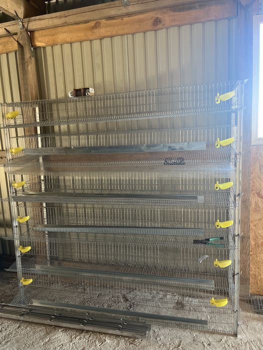 Клетка для содержания перепелов