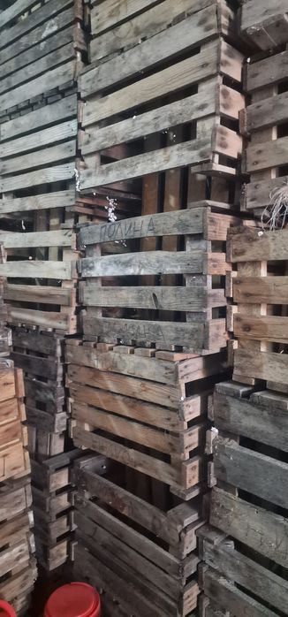 продам деревянные ящики