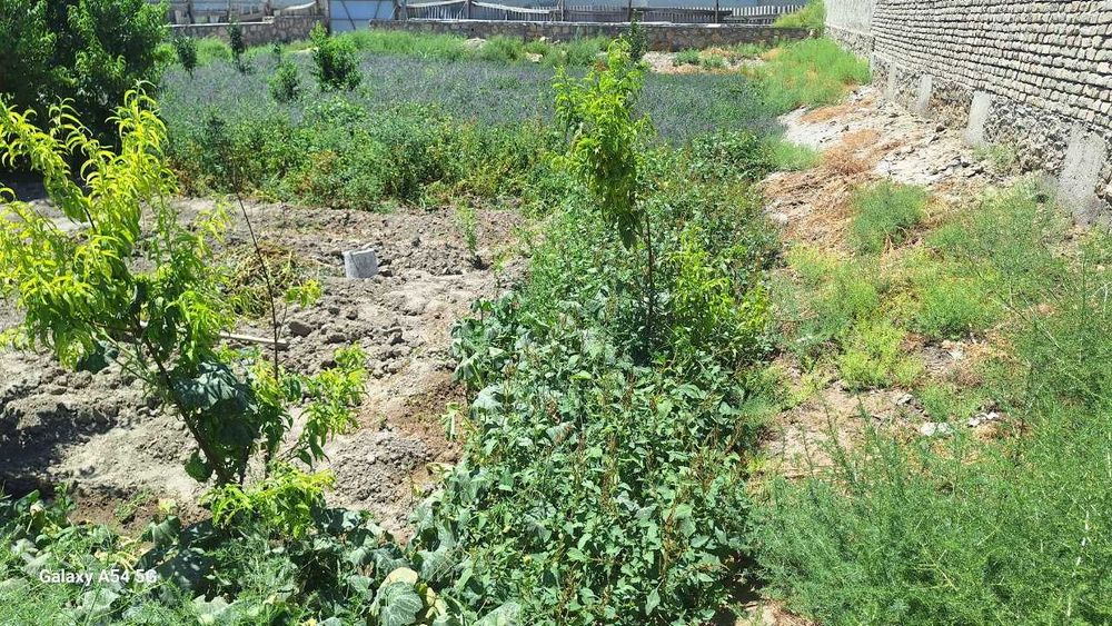 Когон шахар масла завод рупарасида 7 сотихли тугалланмаган курилиш.