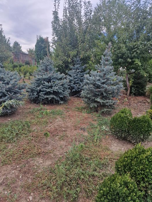 Ma ocup de amenajeri cu tot ce apartine t ce apartine am prwturi de producator
