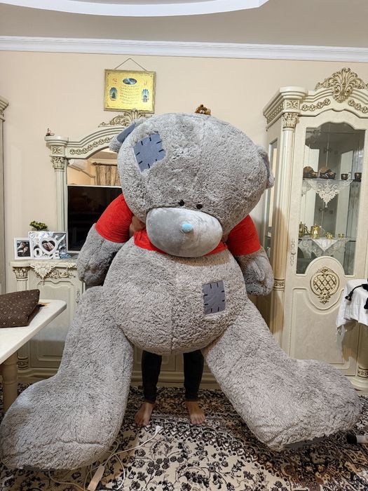 Teddy sotiladi yengi