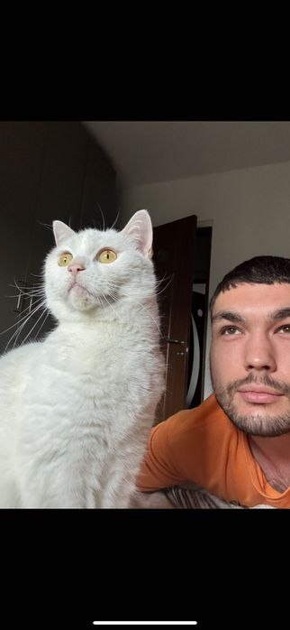 Cazare și Îngrijire Animale – Harmony Pets, zona Tineretului