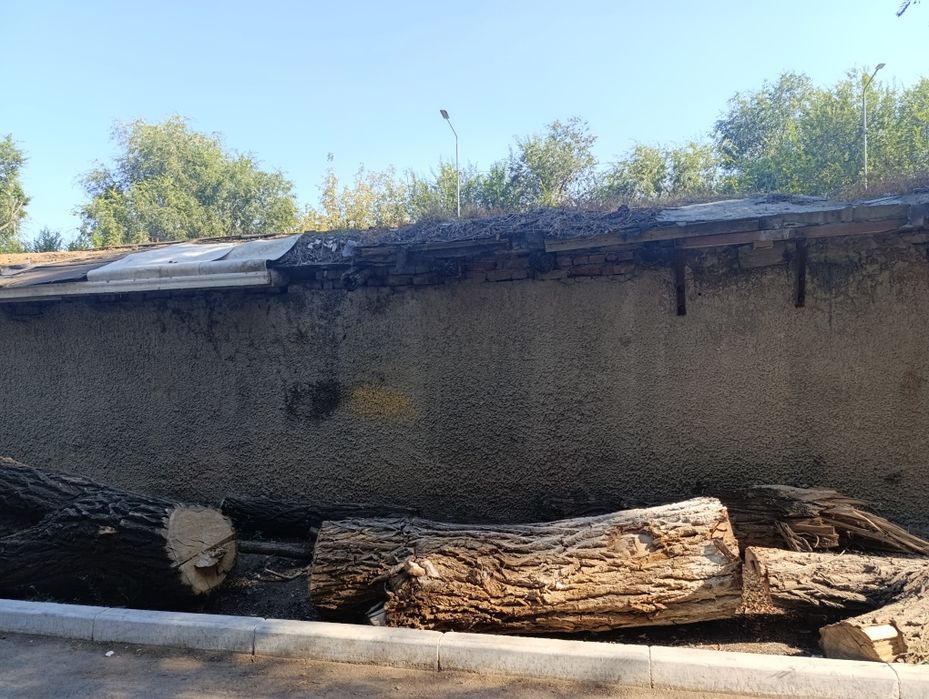 Отдам бревна,карагач, самовывоз