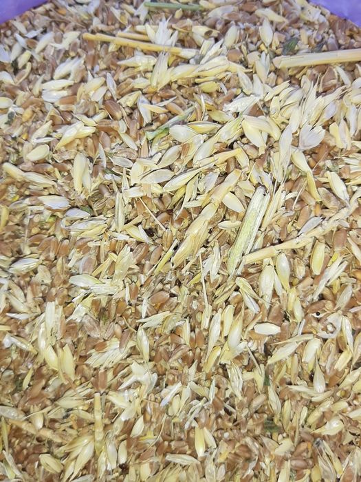 Продам отходы пшеничные росыпью и в мешках