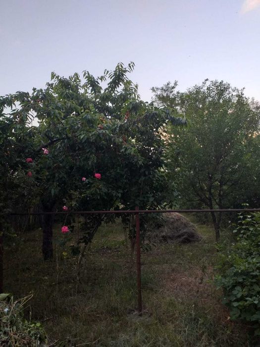Casa cu mansarda in Cocorastii Caplii , jud Prahova