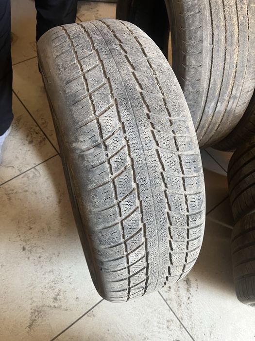 Продам ризина летный