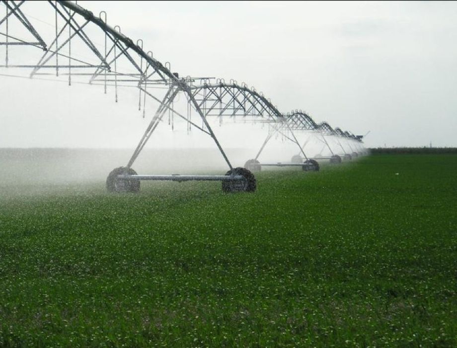 MCHJ chorvachilik  fermasi 1000 gektar yeri b.n