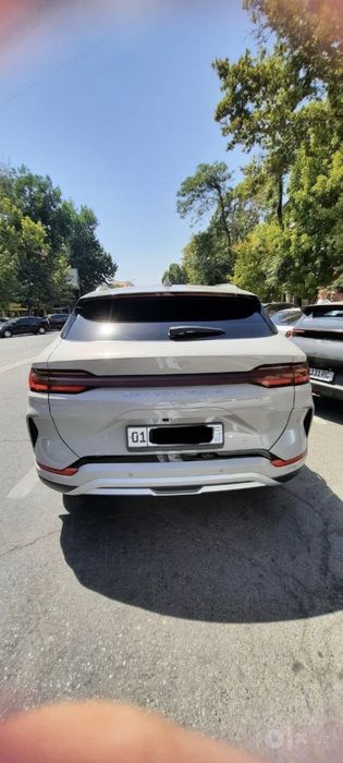 Byd chempion 520