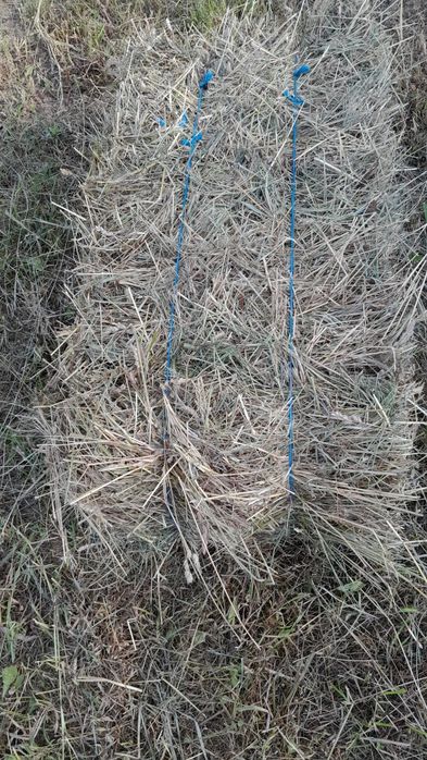 Baloți de fân  de anul acesta