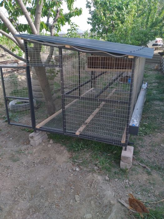 Товук катак сотилади заказга ясабам бераман