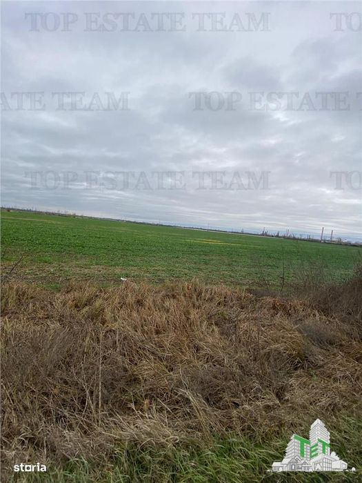 Teren Extravilan in Prahova