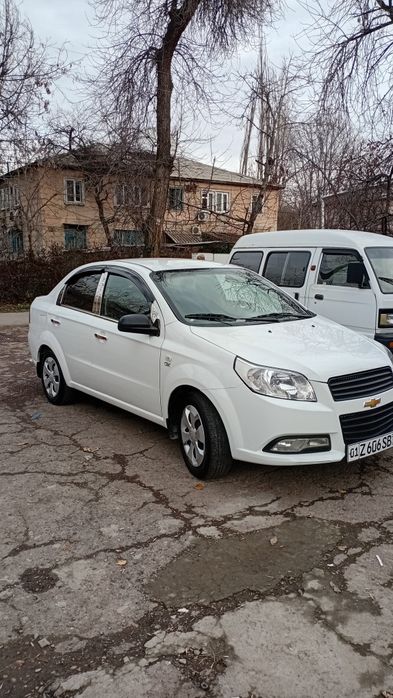 Nexia 3 srochna sotaman