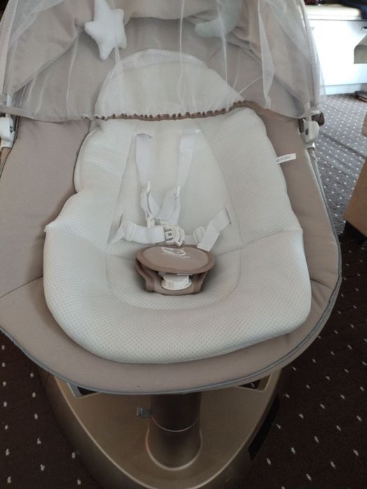 Электронный жизлон