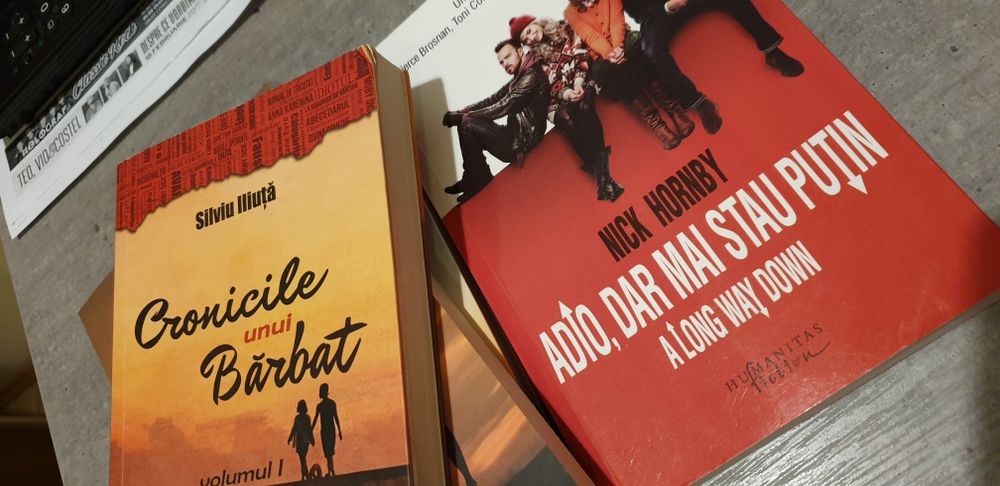 Cronicile unui barbat