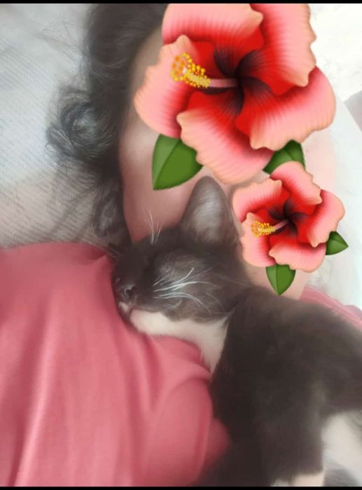 Отдам в добрые руки