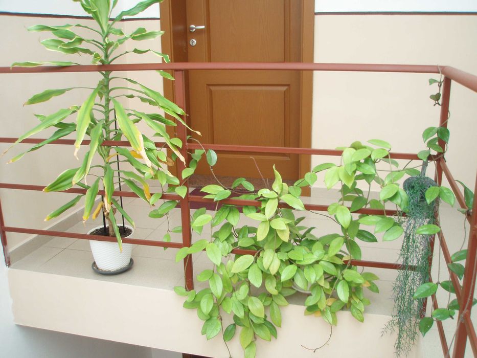 Olympus Stylus 740 7.1MPx