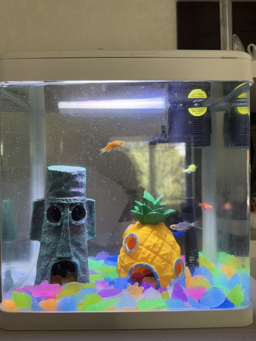 Продам аквариум с наполнением