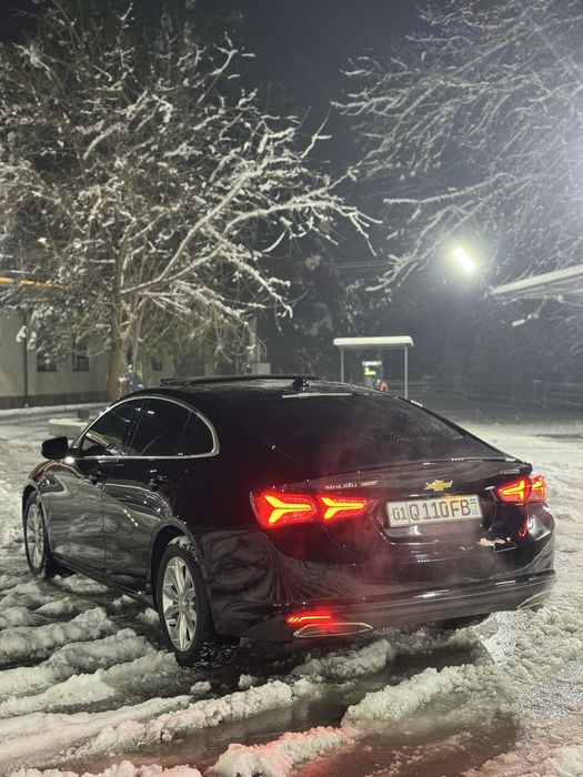 Malibu primer 2020 yil