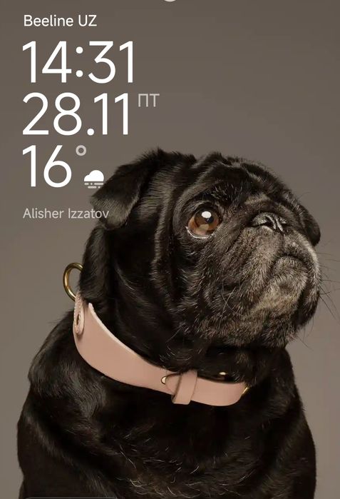 Pocco m4 pro (256gb). Holati zoʻr, narxi kelishiladi!