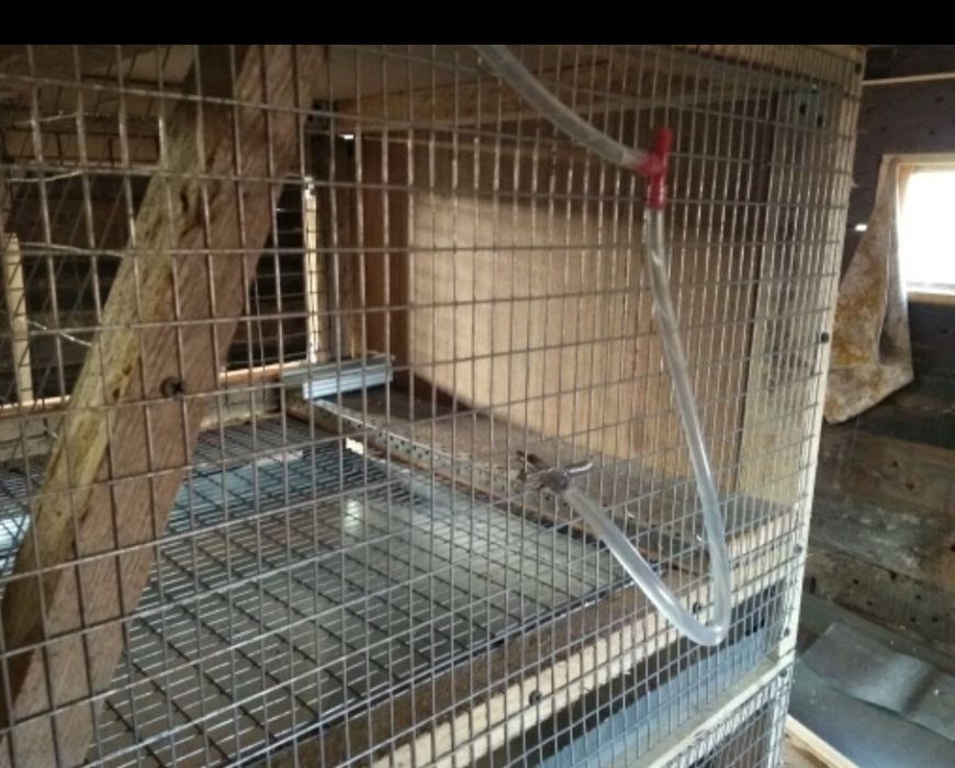 Нипелни поилки за зайци 1.40 лв.