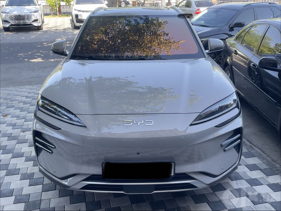 Byd champion 605