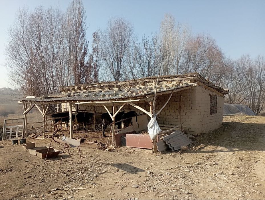 Уй жой ховли 13 сотик сотилади