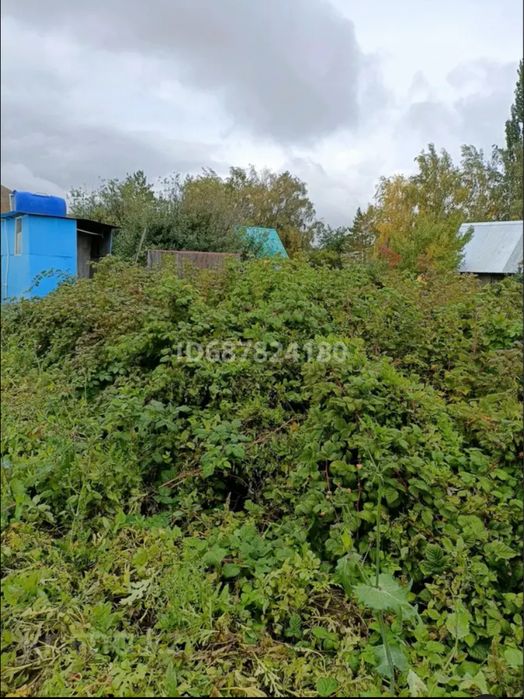 Продам дачу на Каучук 12 соток