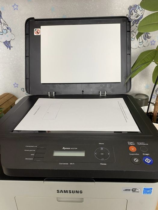 МФУ samsung M2070W Принтер